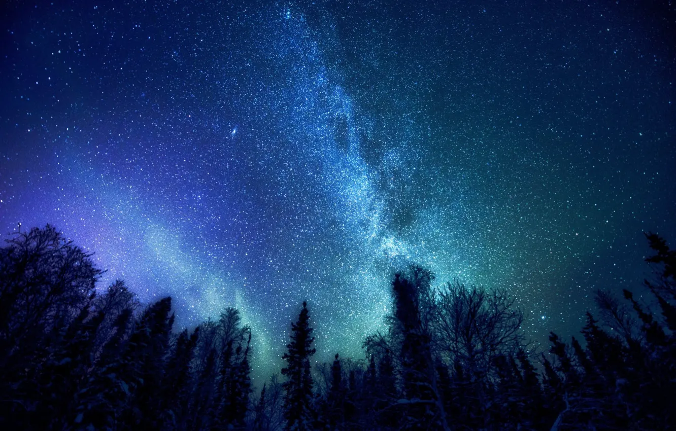 Photo wallpaper The sky, Night, The Milky Way, Taiga, Constellation