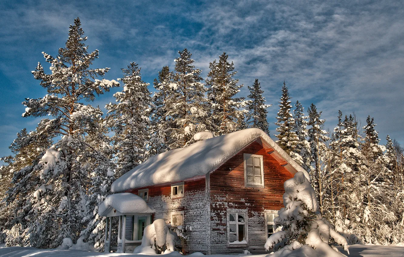 Photo wallpaper winter, snow, trees, house, tree, abandoned, old