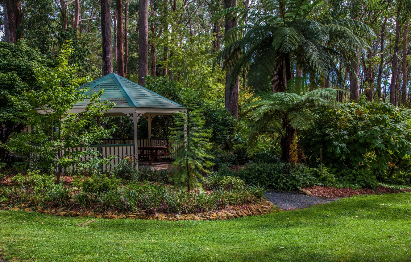 Photo wallpaper greens, grass, trees, Park, lawn, Australia, gazebo, the bushes