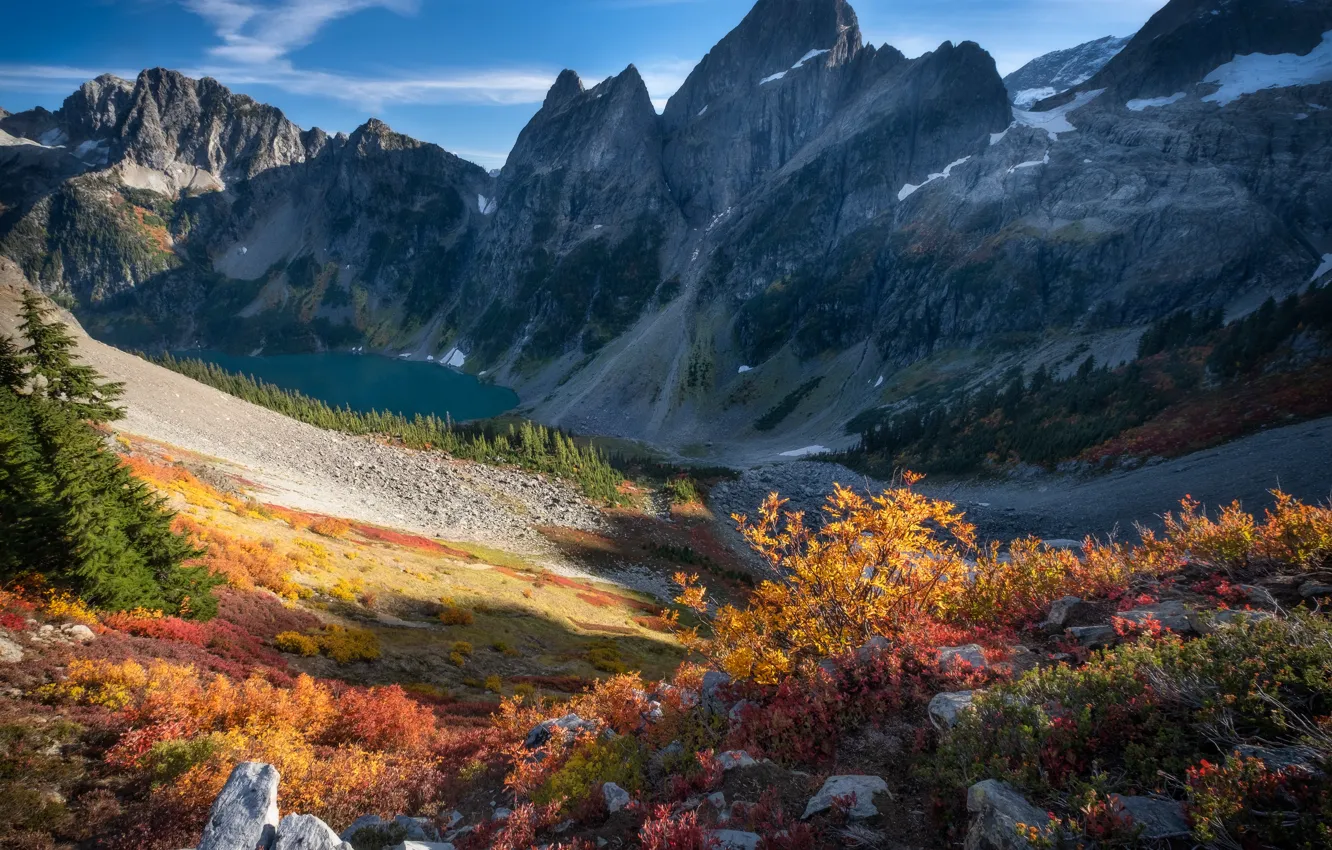 Photo wallpaper shrub, mountains, rocks, autumn, stones