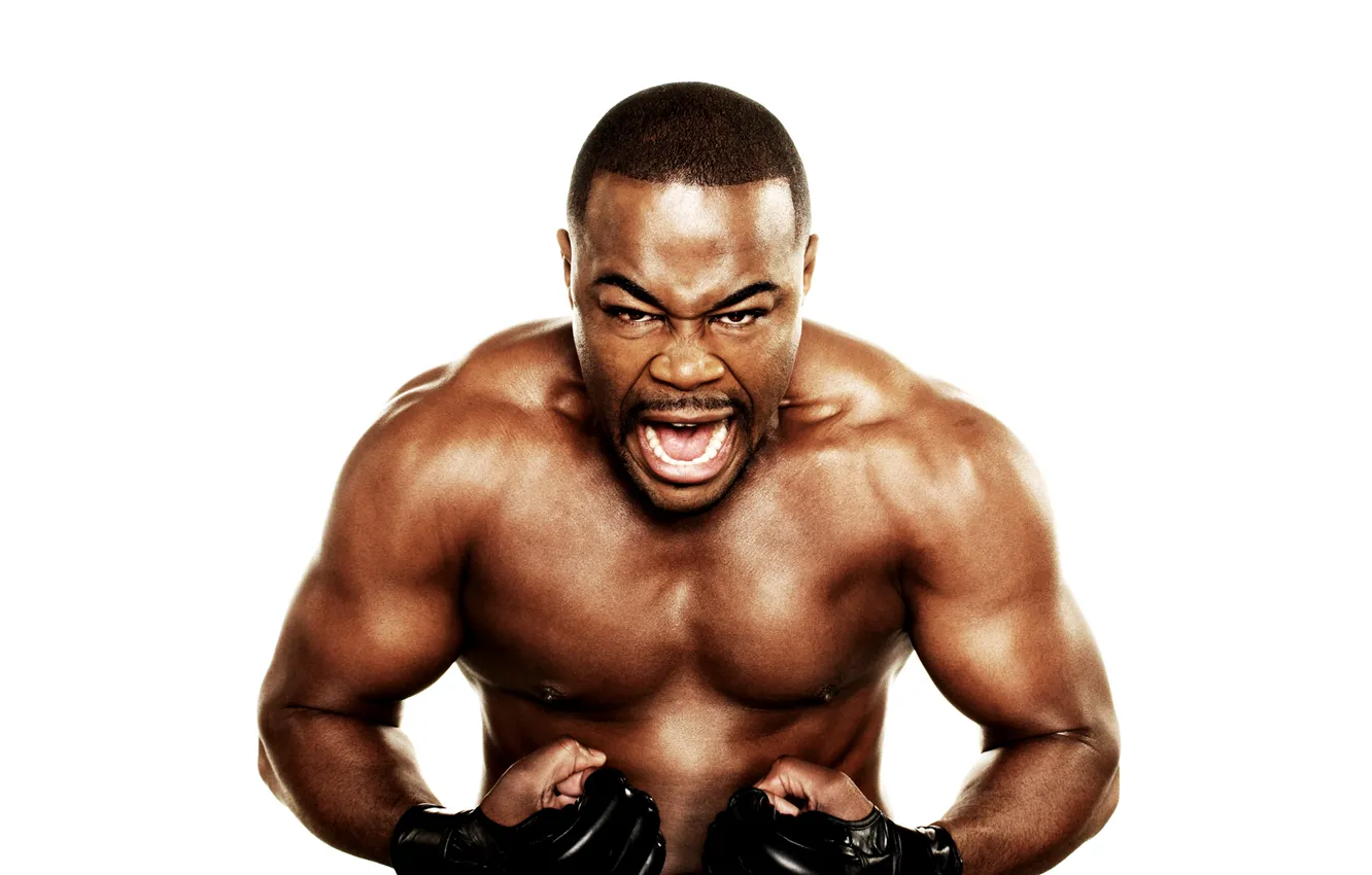 Photo wallpaper white background, fighter, fighter, muscles, mma, ufc, naked torso, rashad evans