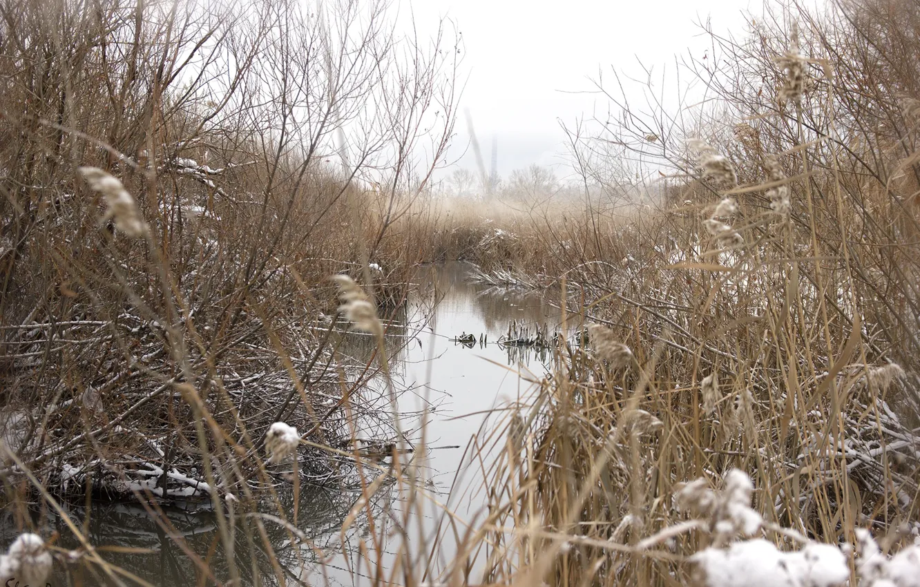 Photo wallpaper autumn, fog, pond