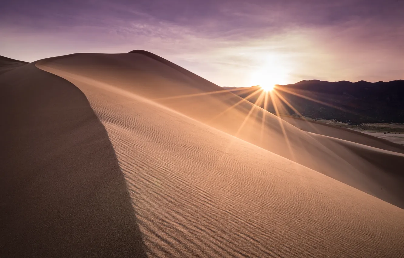 Photo wallpaper sand, the sky, the sun, rays, light, line, the dunes, desert