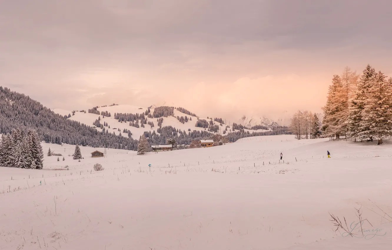 Photo wallpaper winter, field, forest, the sky, clouds, light, snow, trees
