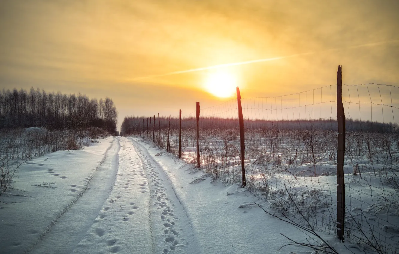 Photo wallpaper winter, road, field, forest, the sky, the sun, snow, traces