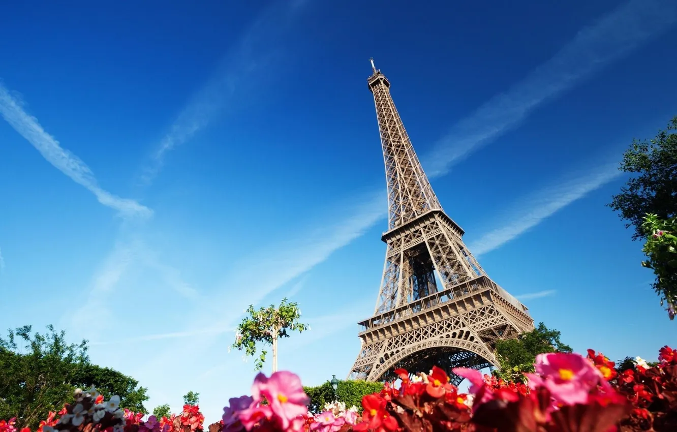 Photo wallpaper Paris, France, flowers, Eiffel Tower, architecture, building
