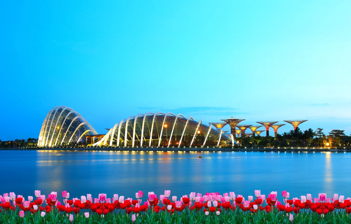Photo wallpaper flowers, the city, building, the evening, Bay, Singapore, tulips, Singapore