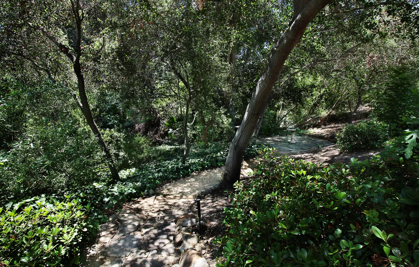 Photo wallpaper greens, trees, Park, CA, track, USA, the bushes, San Juan Capistrano