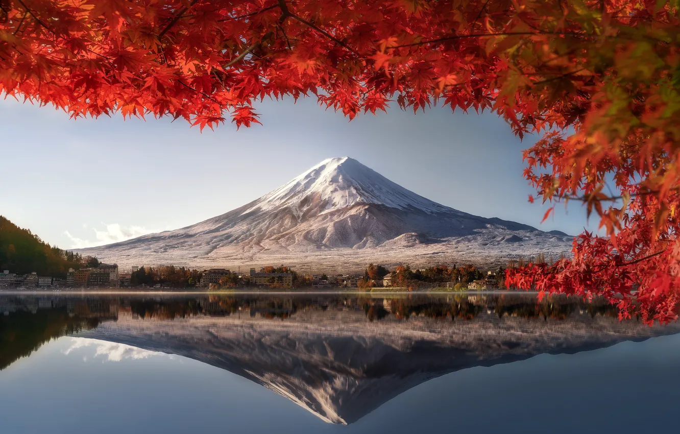 Photo wallpaper autumn, leaves, Fuji