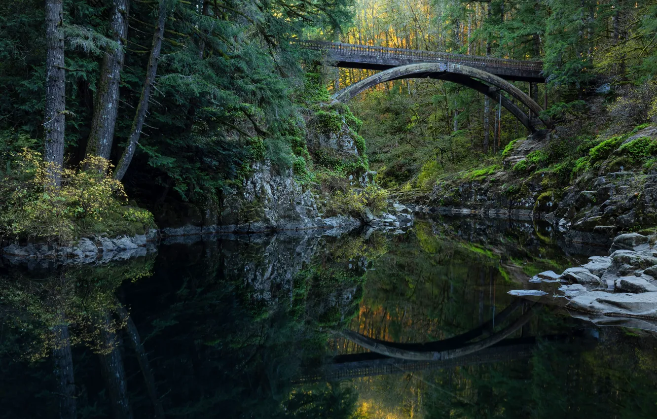 Photo wallpaper forest, trees, bridge, lake, reflection, stones, shore, arch