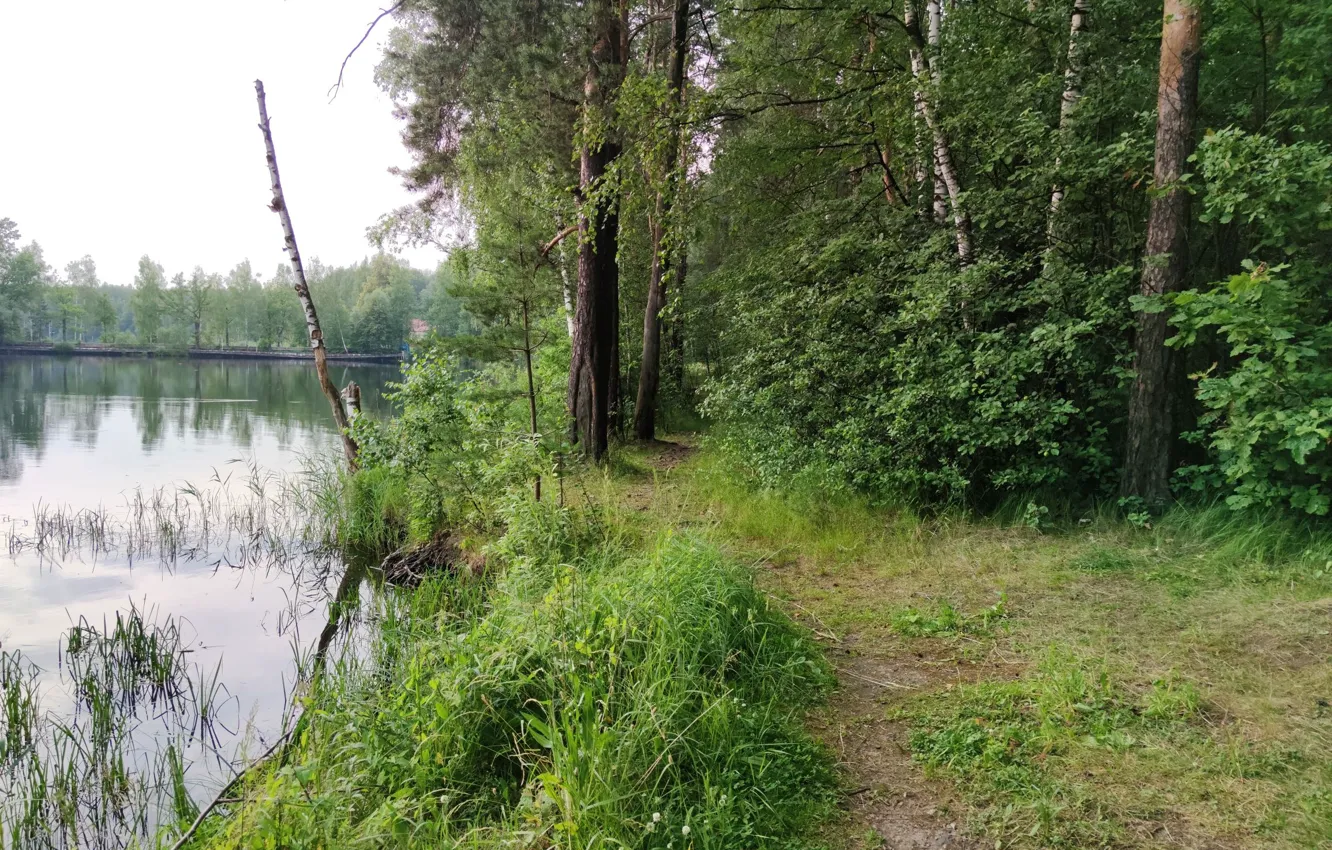 Photo wallpaper nature, lake, Flattery