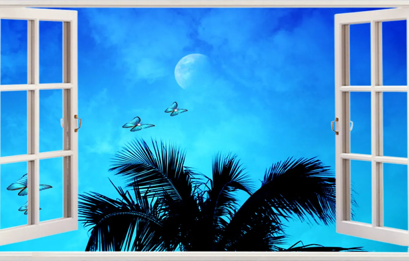 Photo wallpaper beach, ocean, blue, window, palms, tropical, seashore