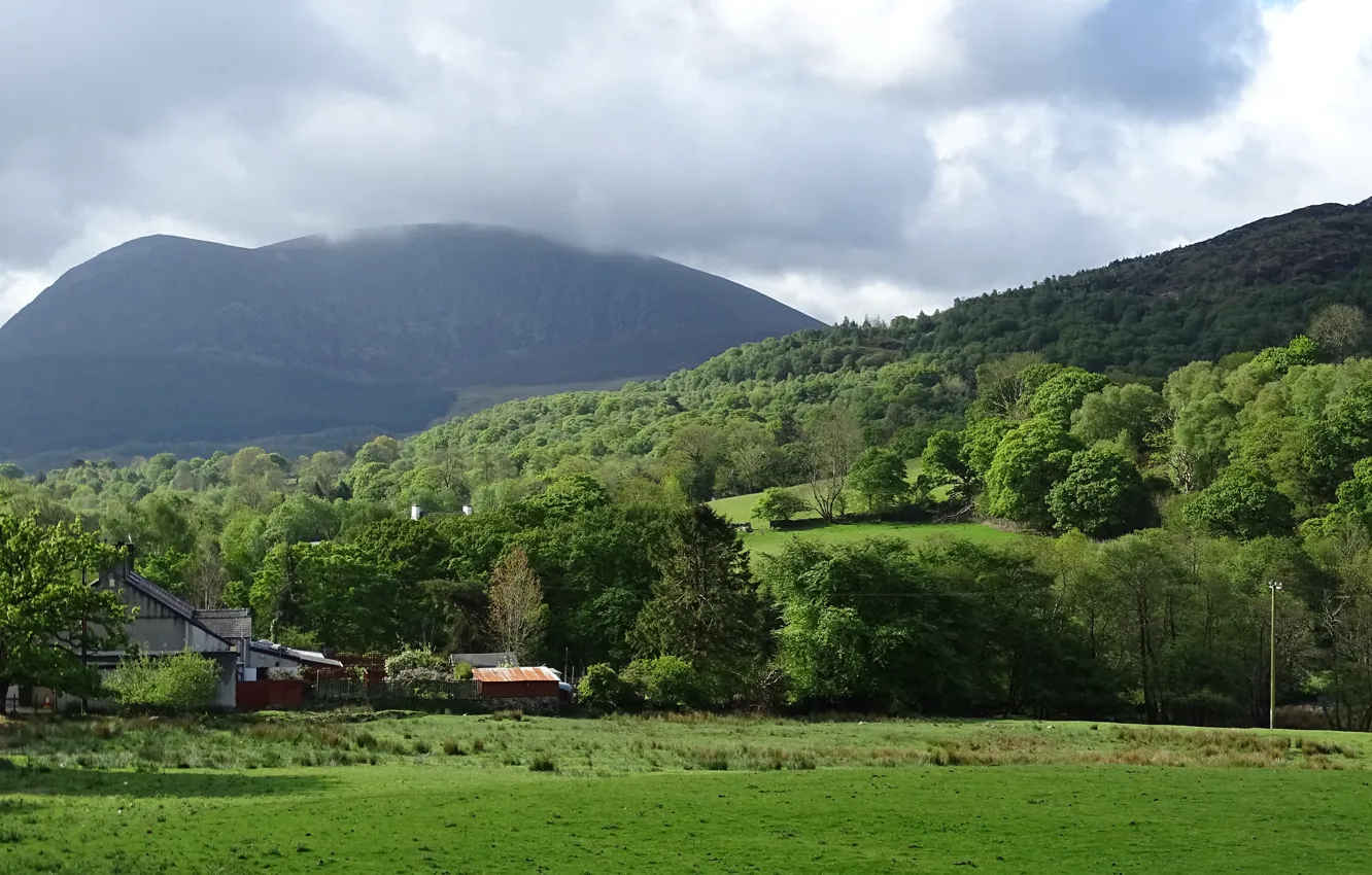 Photo wallpaper greens, field, the sky, mountains, nature, fog, green, panorama