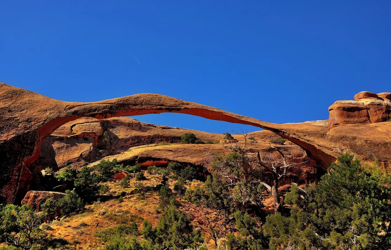 Photo wallpaper the sky, rocks, arch, USA, the bushes, Arches National Park, uta