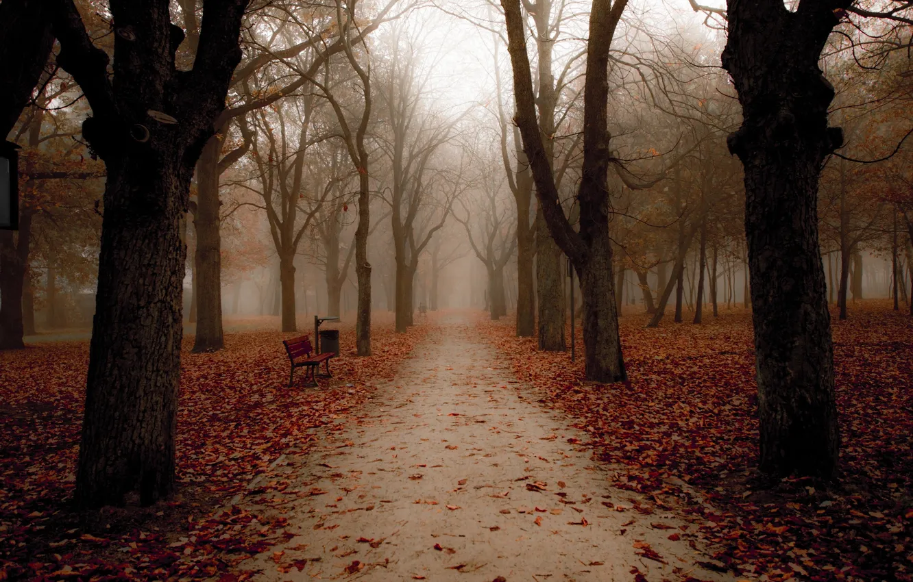 Photo wallpaper autumn, Park, bench
