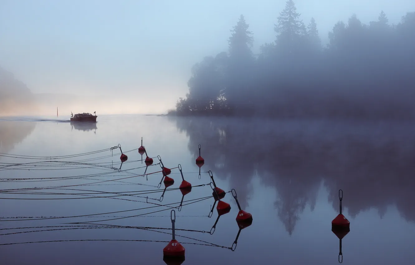 Photo wallpaper nature, lake, morning