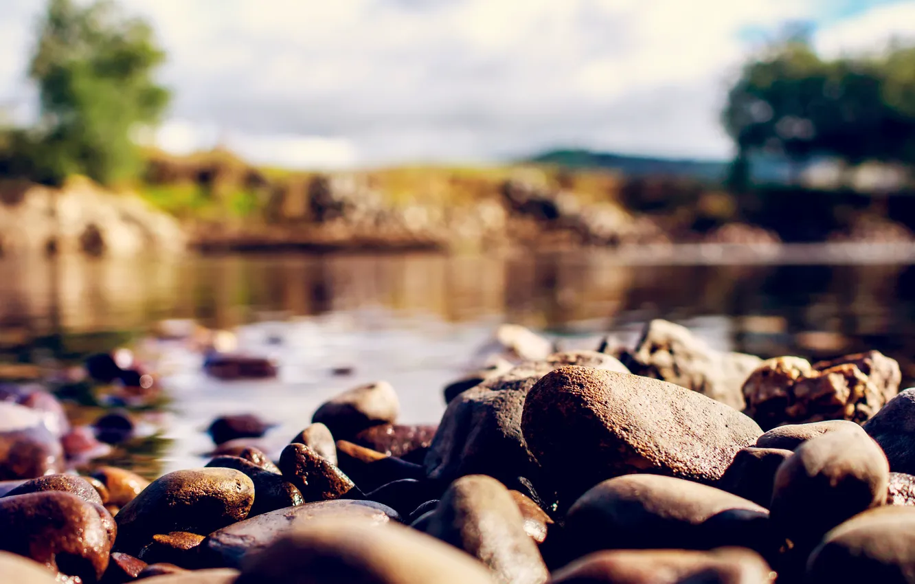 Photo wallpaper macro, nature, stones, blur, bokeh