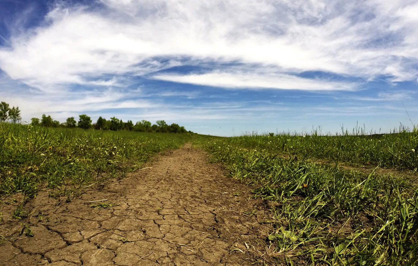 Photo wallpaper road, field, summer, the sky, grass, earth