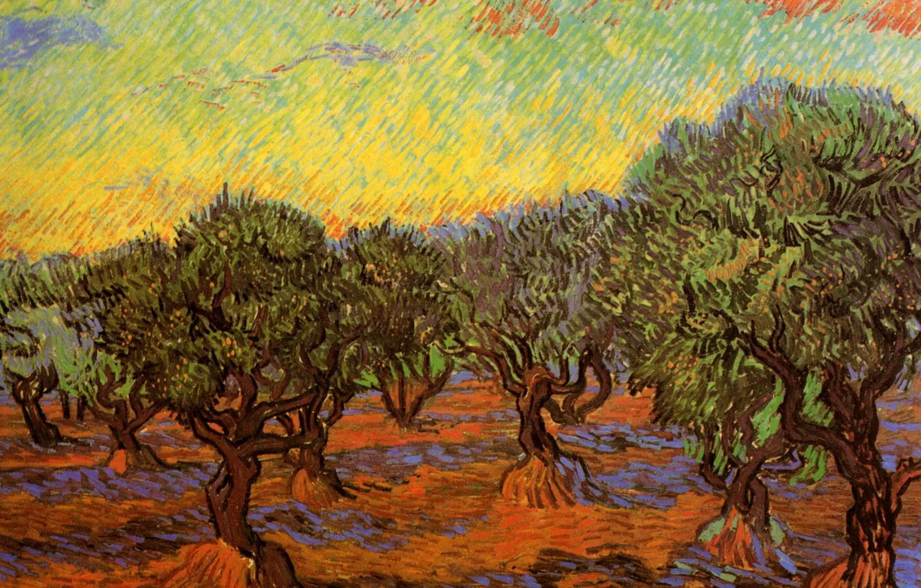 Photo wallpaper trees, Vincent van Gogh, orange sky, Olive Grove