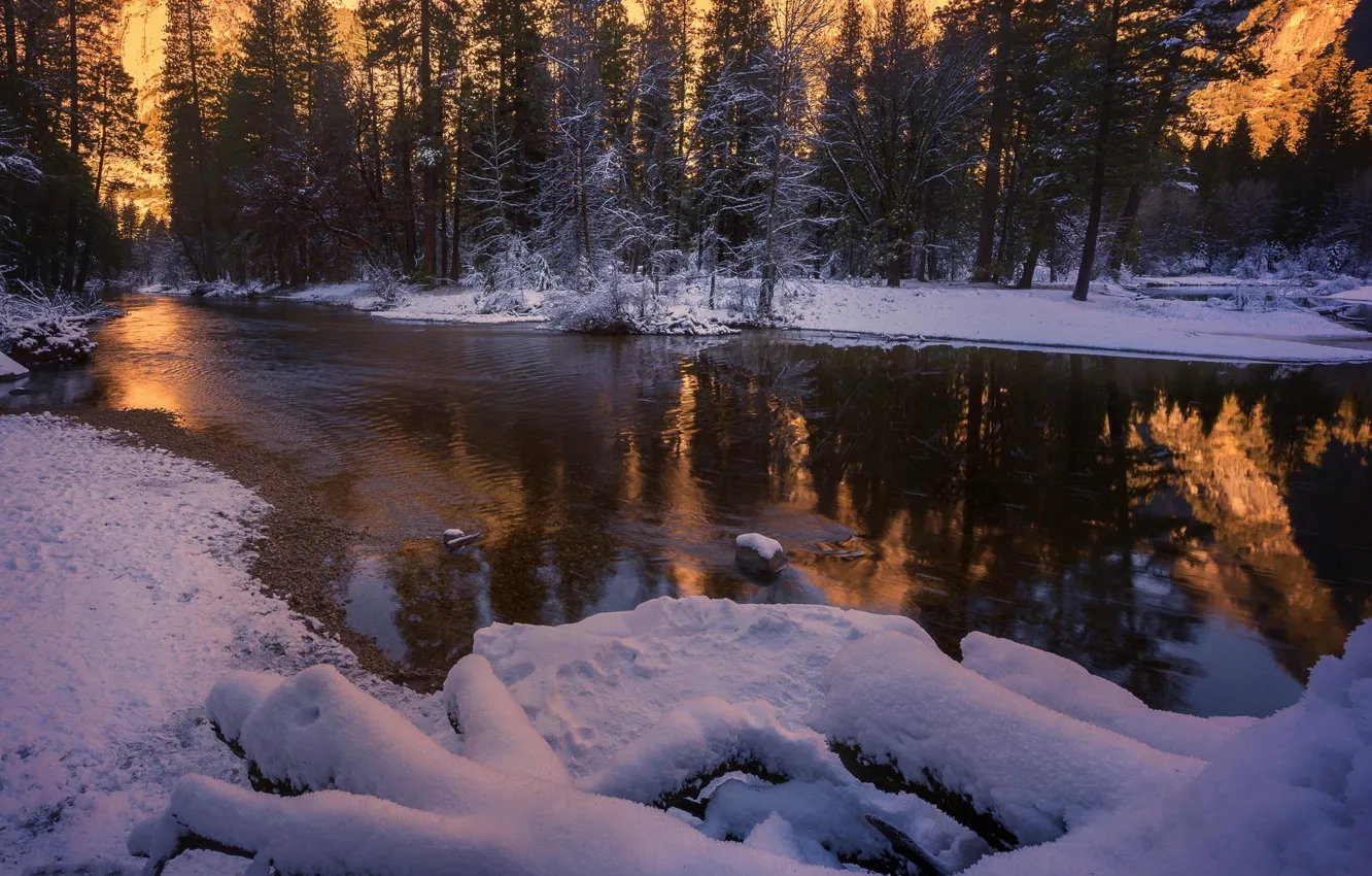 Photo wallpaper forest, snow, river