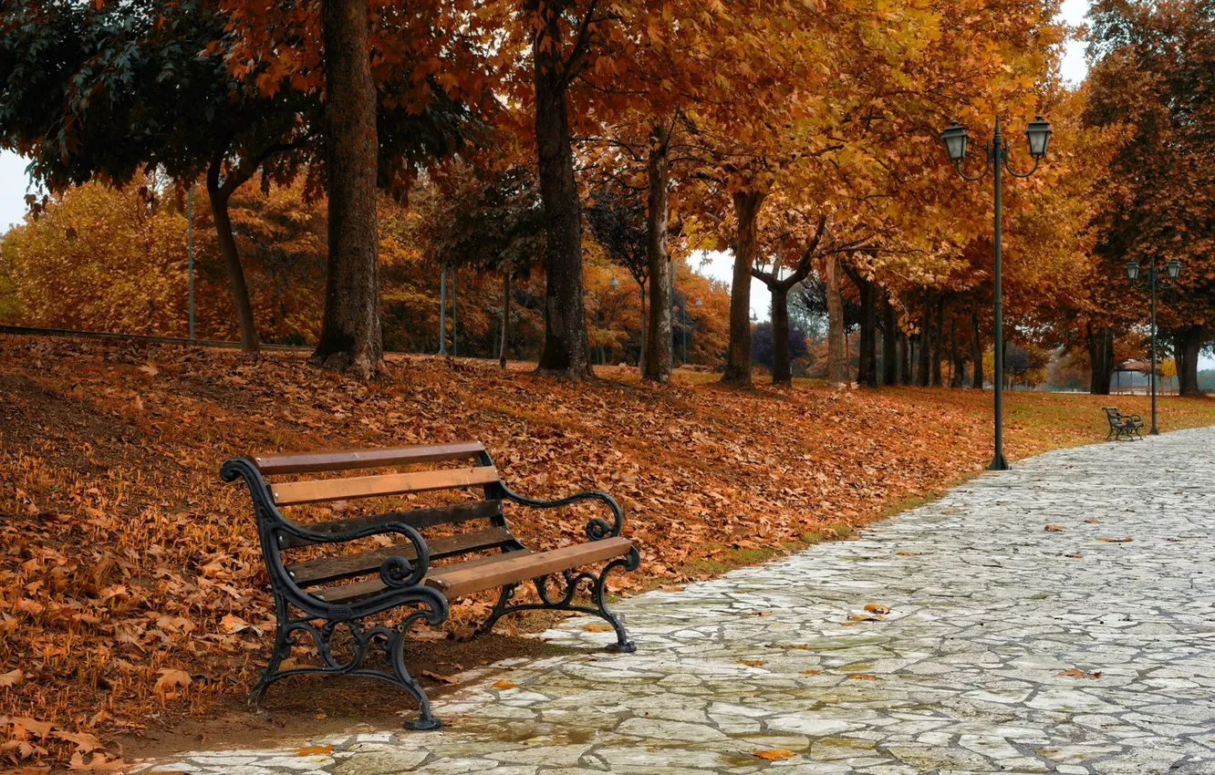 Photo wallpaper autumn, the city, bench
