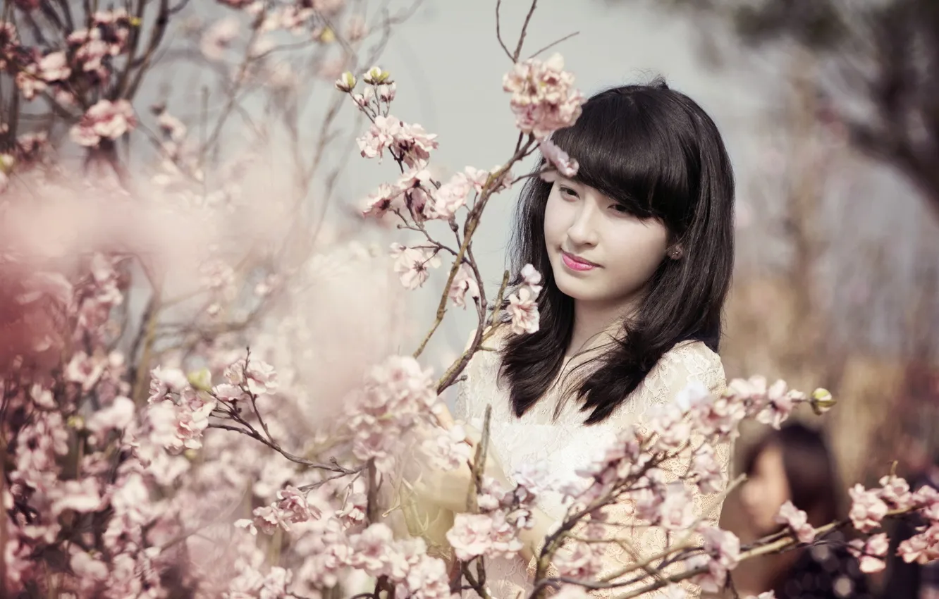 Photo wallpaper girl, spring, Asian