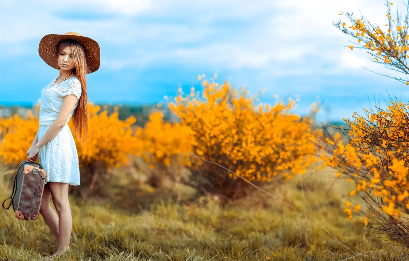 Photo wallpaper girl, mood, suitcase