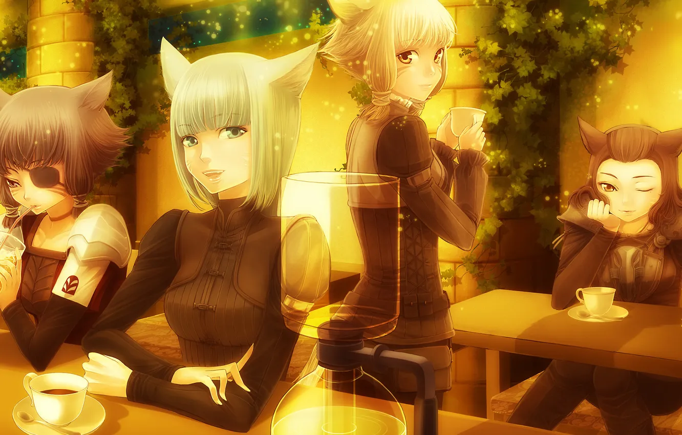 Photo wallpaper cat, final fantasy xiv, The Miqo’te