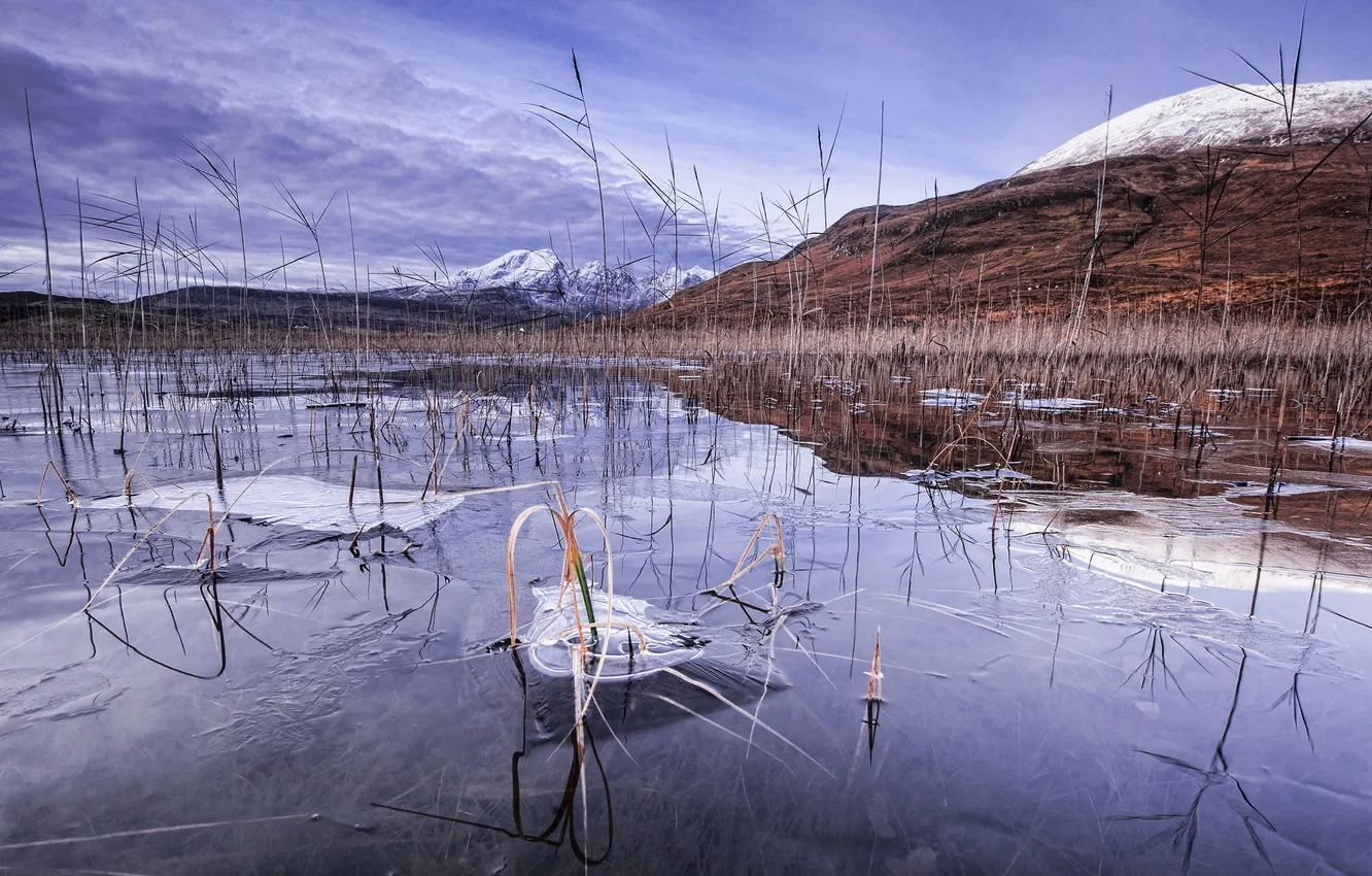 Photo wallpaper ice, winter, snow, mountains, lake, reed