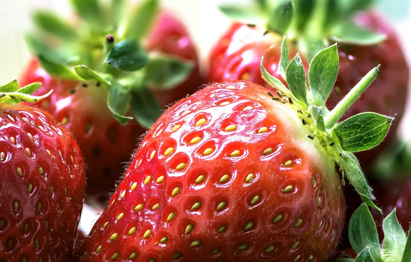 Photo wallpaper macro, berries, strawberry