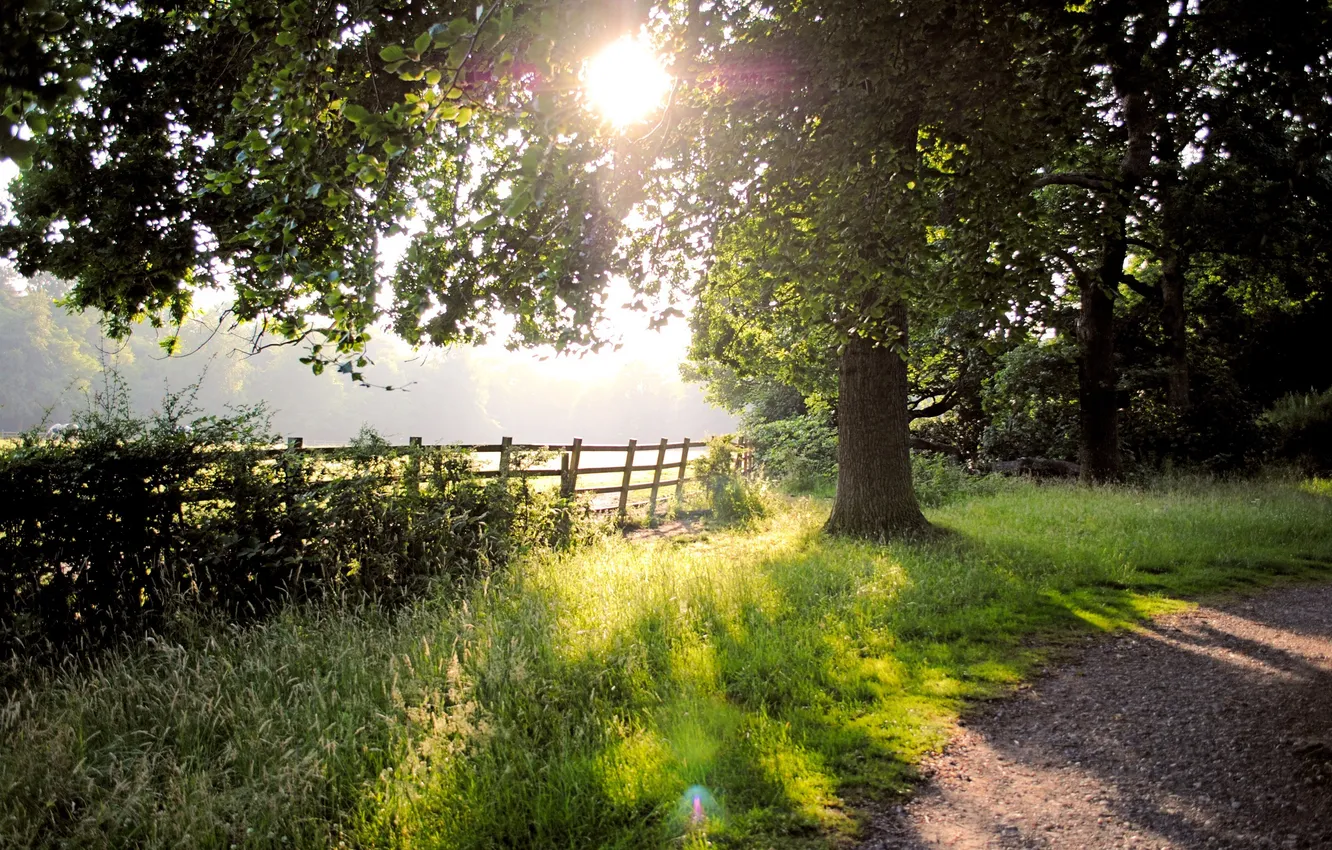 Photo wallpaper road, grass, the sun, trees, nature, fence
