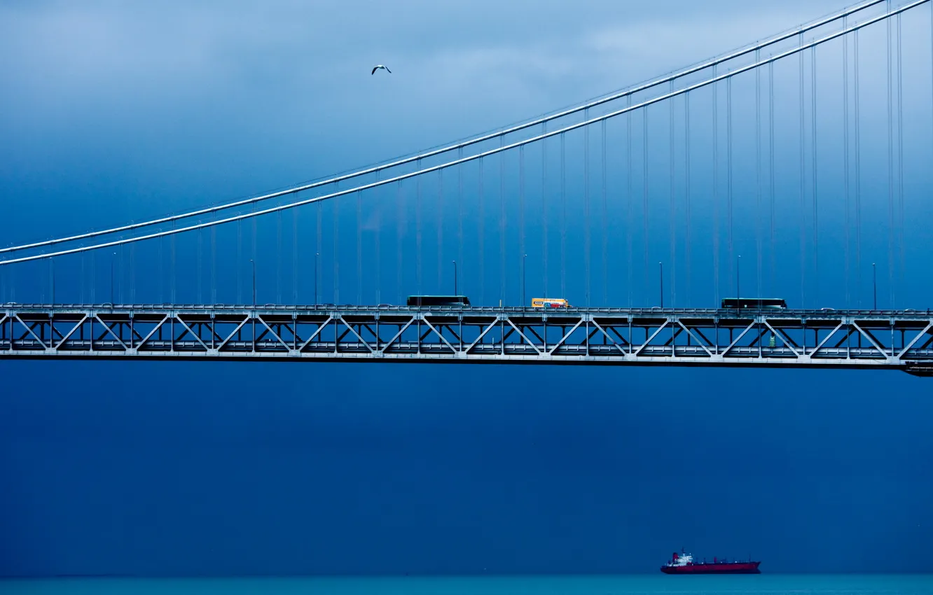 Photo wallpaper machine, the sky, landscape, bridge, river, bird, ship