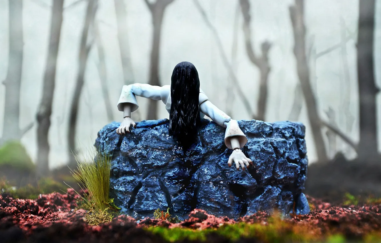 Photo wallpaper forest, fog, hair, toys, well, The Ring, Offering Yamamura