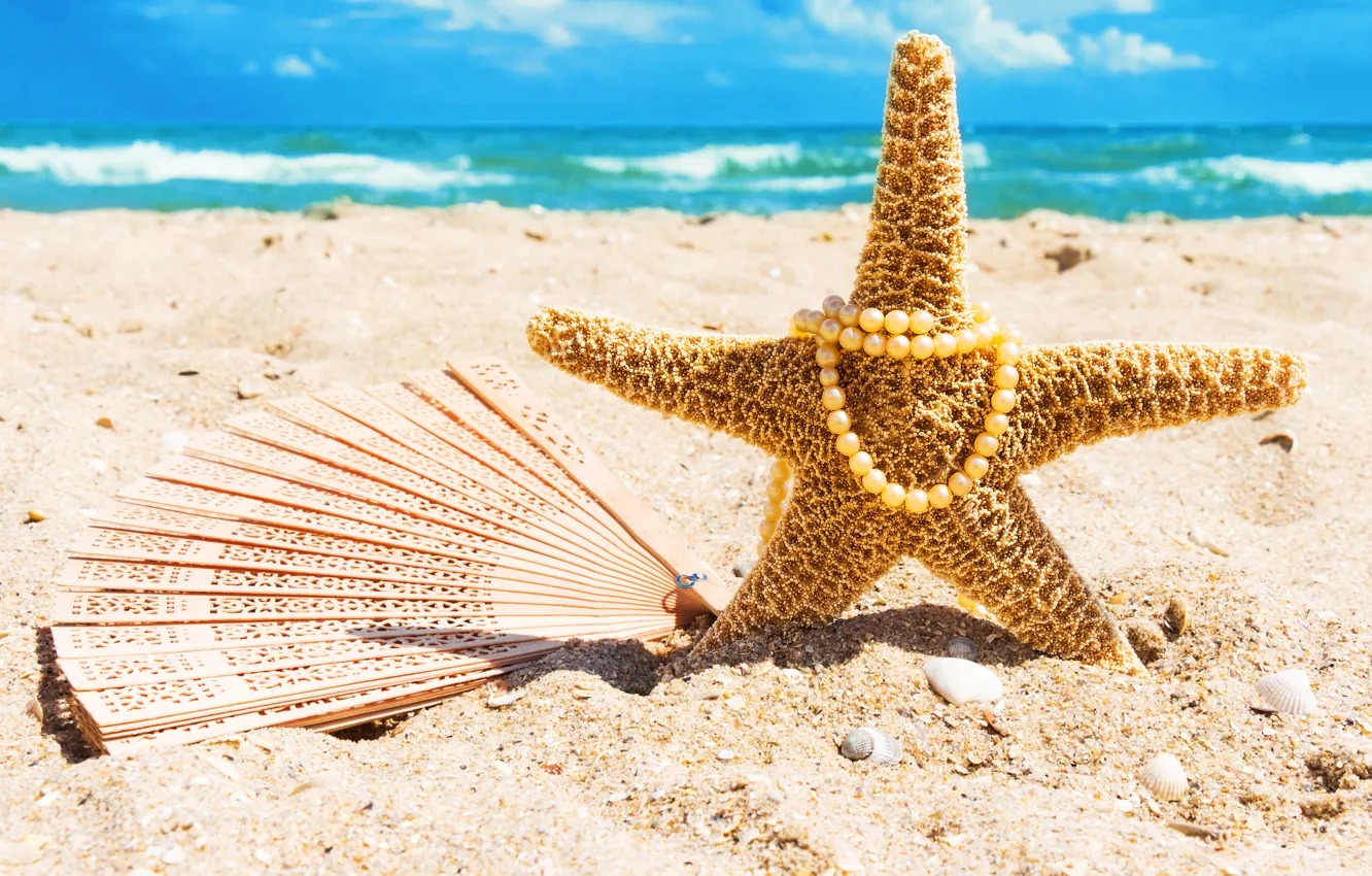 Photo wallpaper beach, sea, sand, starfish