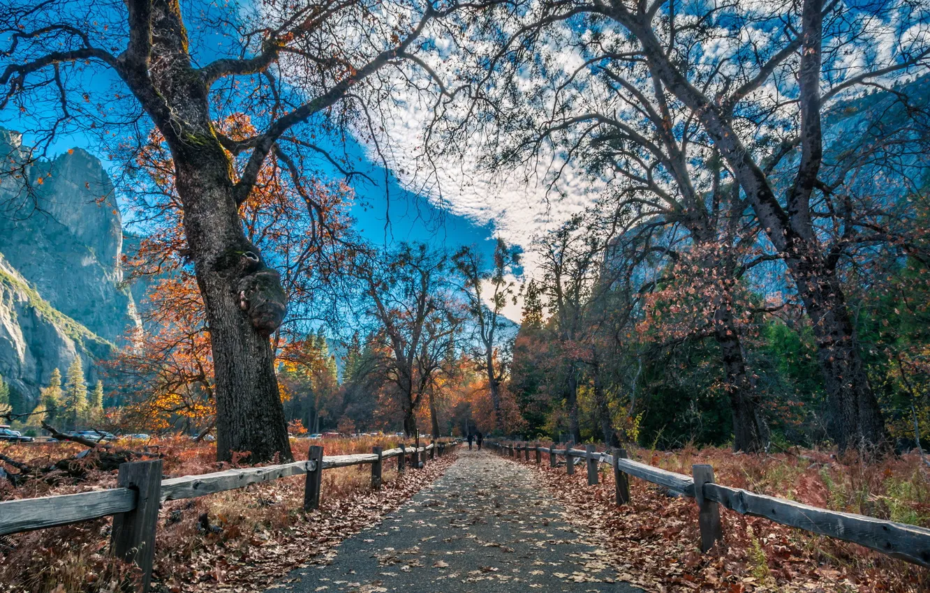 Photo wallpaper road, autumn, mountains, the fence