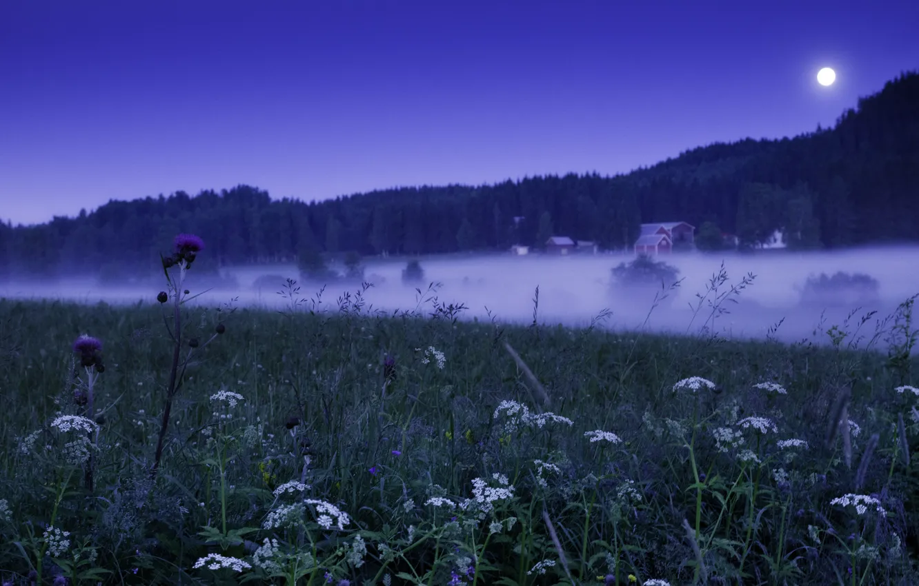 Photo wallpaper field, forest, grass, light, flowers, fog, the moon, home