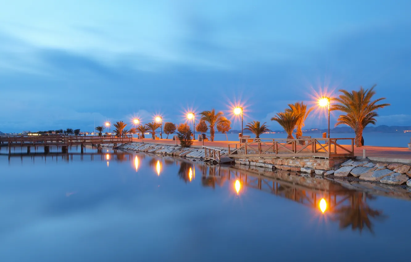 Photo wallpaper sea, the sky, lights, palm trees, Bay, the evening, dam
