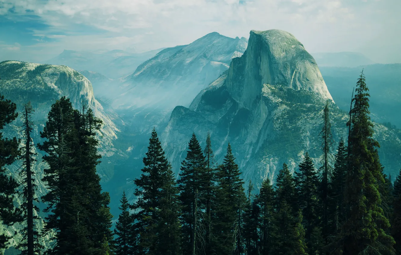 Photo wallpaper Mountains, Forest, Ranges