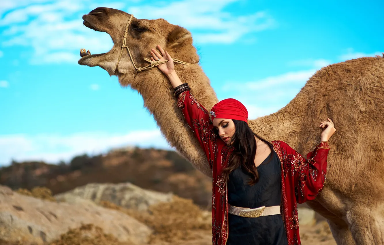 Photo wallpaper pose, model, camel, turban