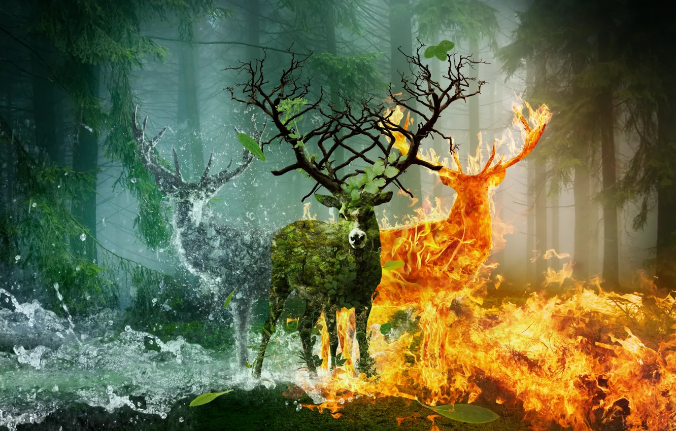 Photo wallpaper Water, Fire, Animals, Deer, Fiction, Horn earth
