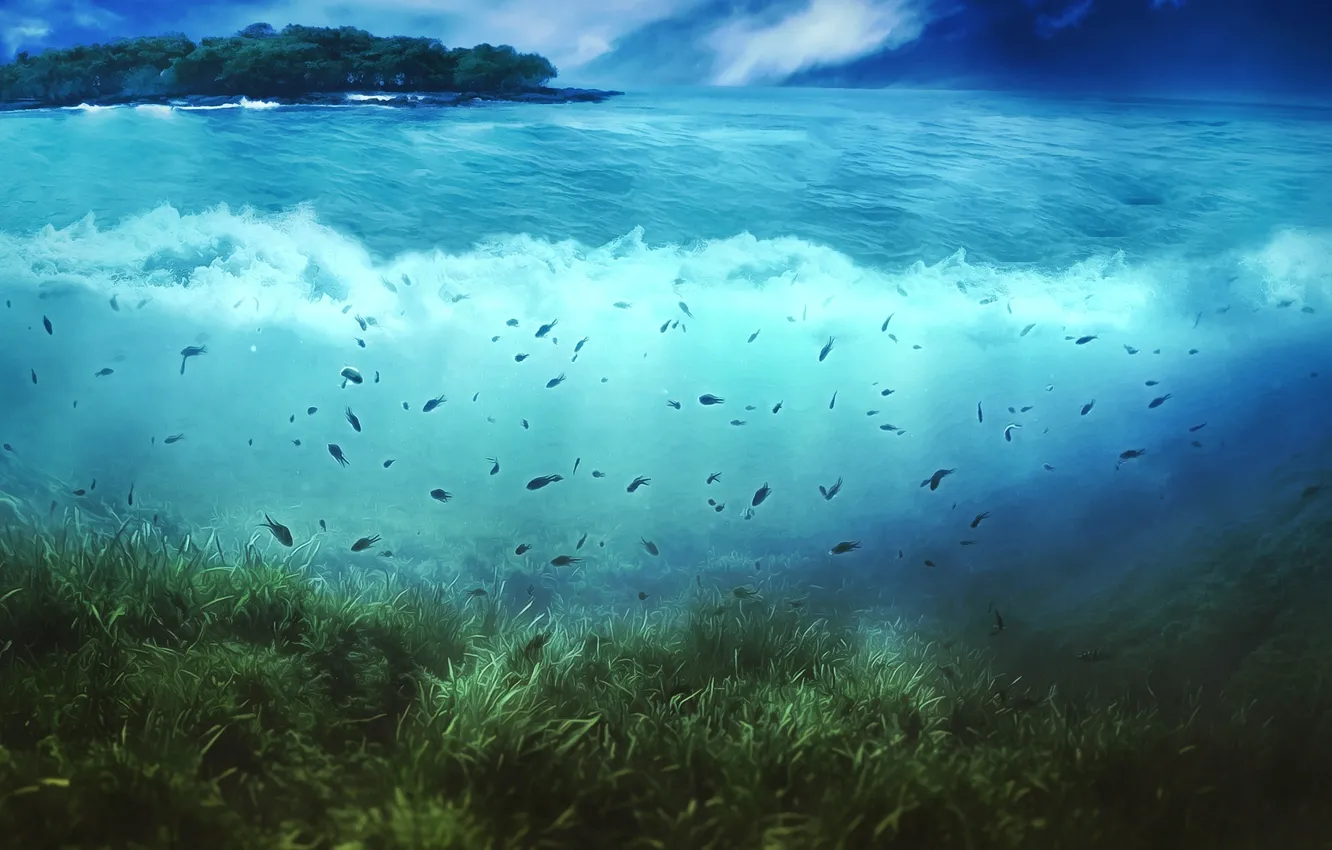 Photo wallpaper wave, water, trees, fish, algae, Island