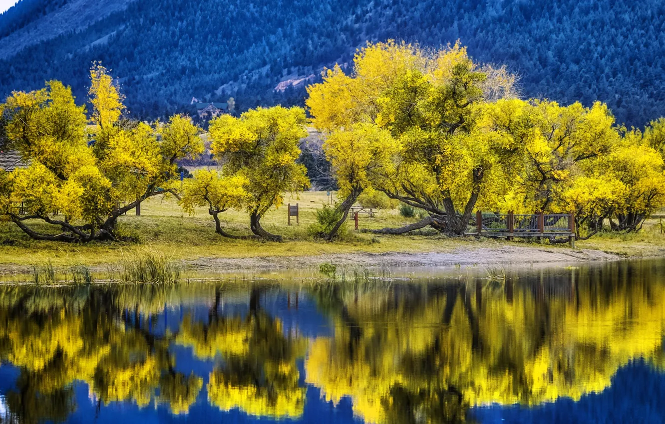 Photo wallpaper autumn, trees, mountains, nature, lake, Colorado, USA, Palmer Lake