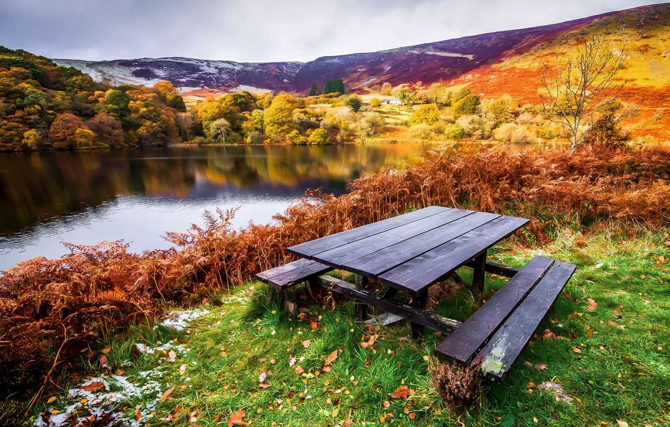 Photo wallpaper autumn, grass, leaves, trees, landscape, river, table, shore