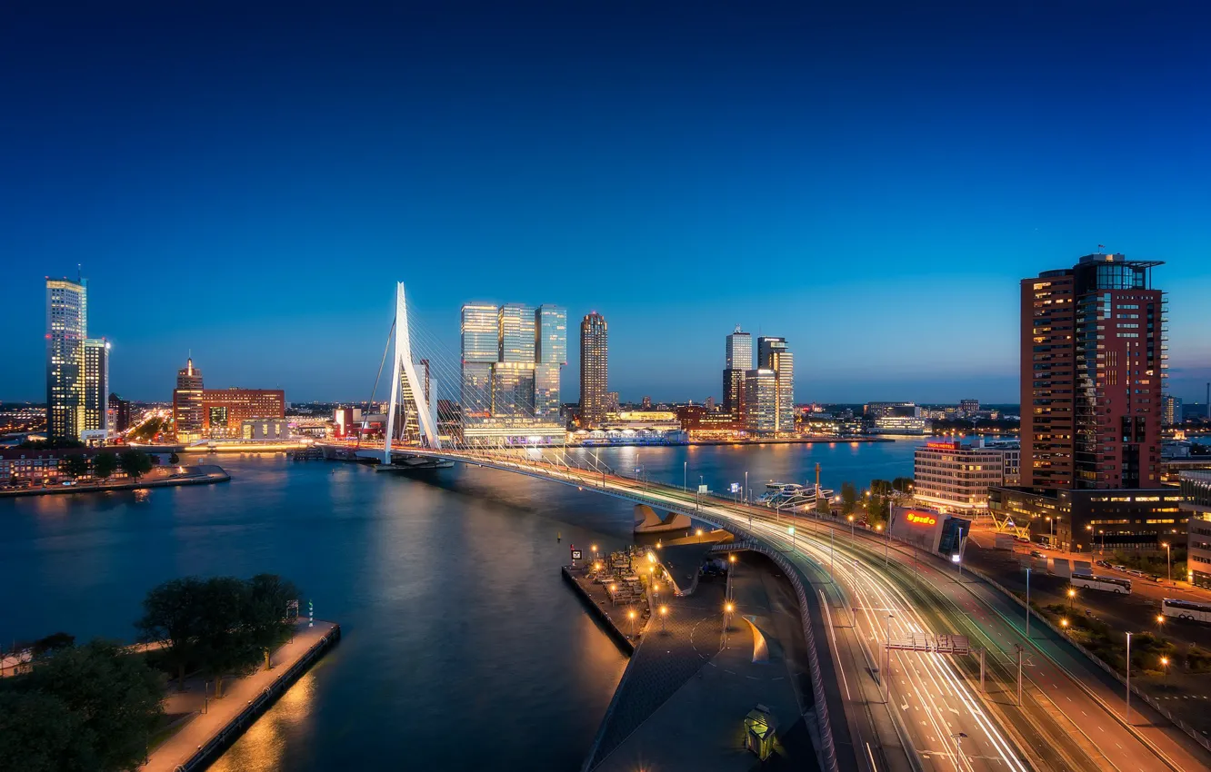Photo wallpaper bridge, lights, river, Netherlands, night city, skyline, Holland, Rotterdam