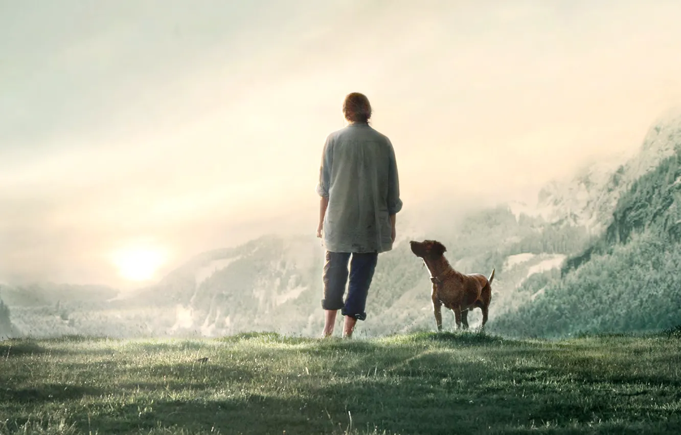 Photo wallpaper Girl, Dog, Wall, 2012, The film, Movie, The Wall