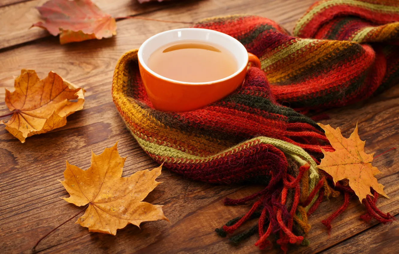 Photo wallpaper autumn, Cup, maple, autumn, leaves, cup, tea, scarf