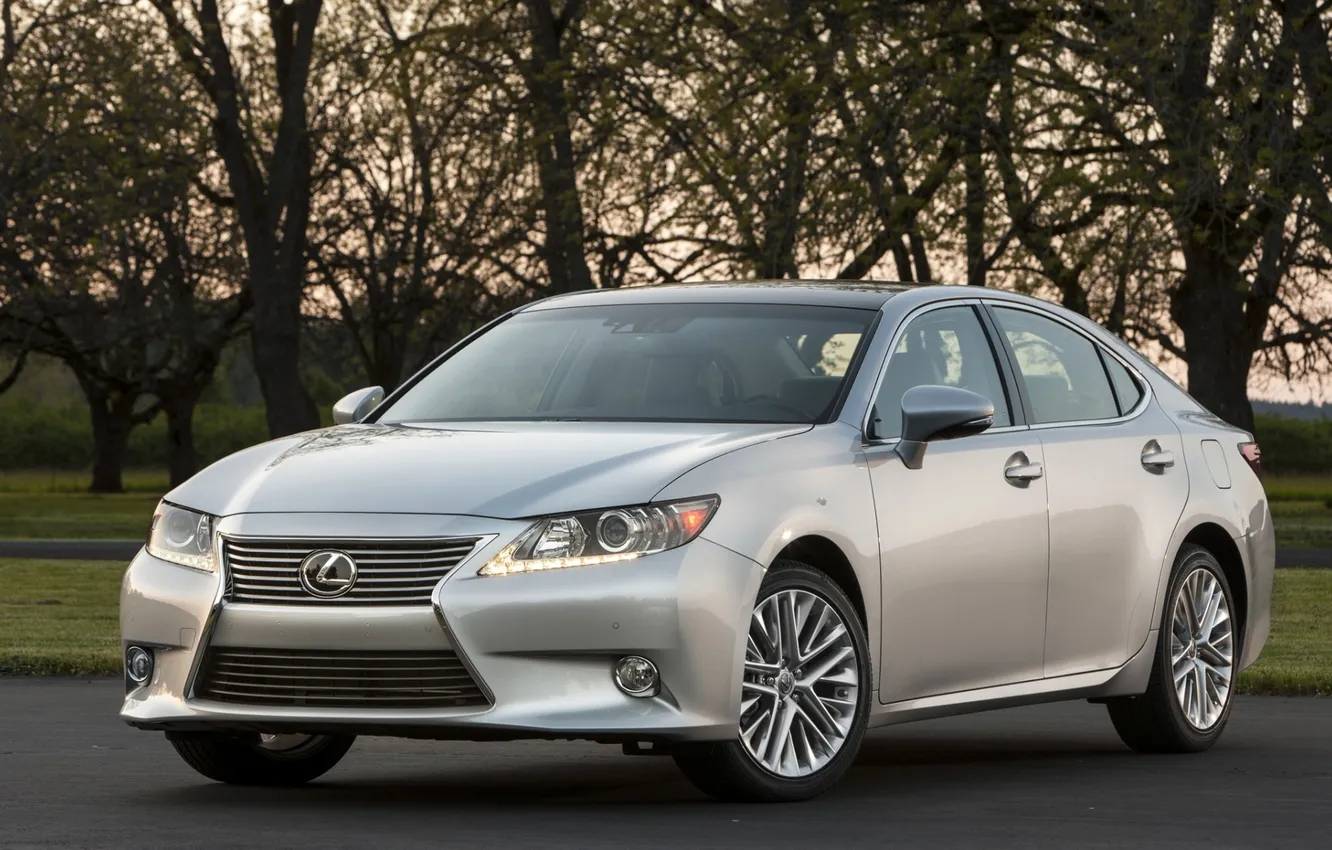 Photo wallpaper trees, Lexus, sedan, Lexus, the front, 350