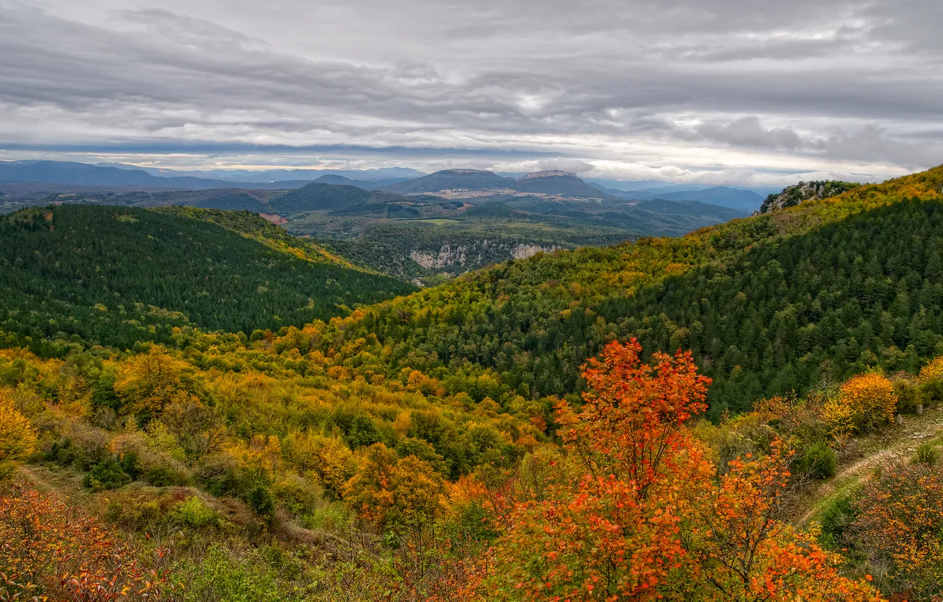 Photo wallpaper autumn, forest, the sky, clouds, mountains