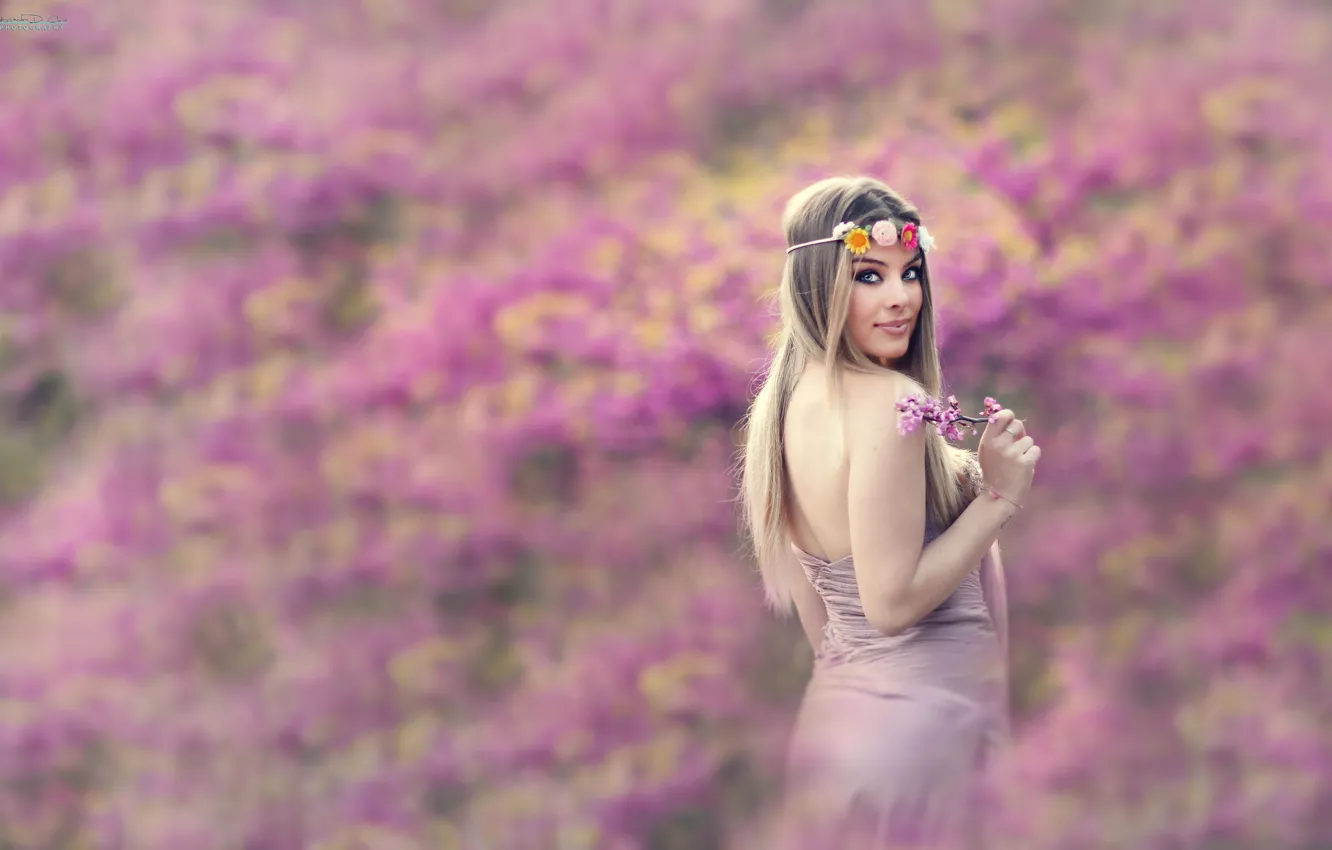 Photo wallpaper look, flowers, background, dress, wreath, sundress, B Alessandro