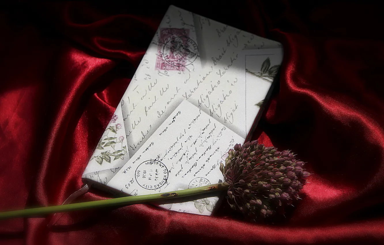 Photo wallpaper flower, letter, background